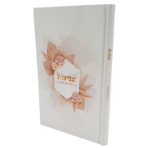 צניעות / הרב רונן חזיזה שליט"א צניעות / הרב רונן חזיזה שליט"א