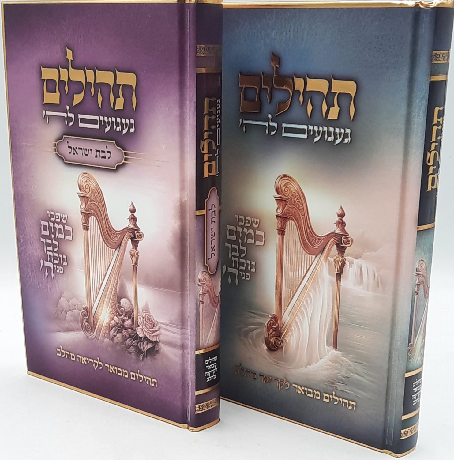 תהילים מאירים לאיש ולאישה 2 כרכים / הרב רונן חזיזה שליט"א תהילים מאירים לאיש ולאישה 2 כרכים / הרב רונן חזיזה שליט"א