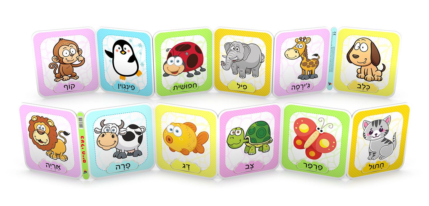 ��� ���� - ���� ����