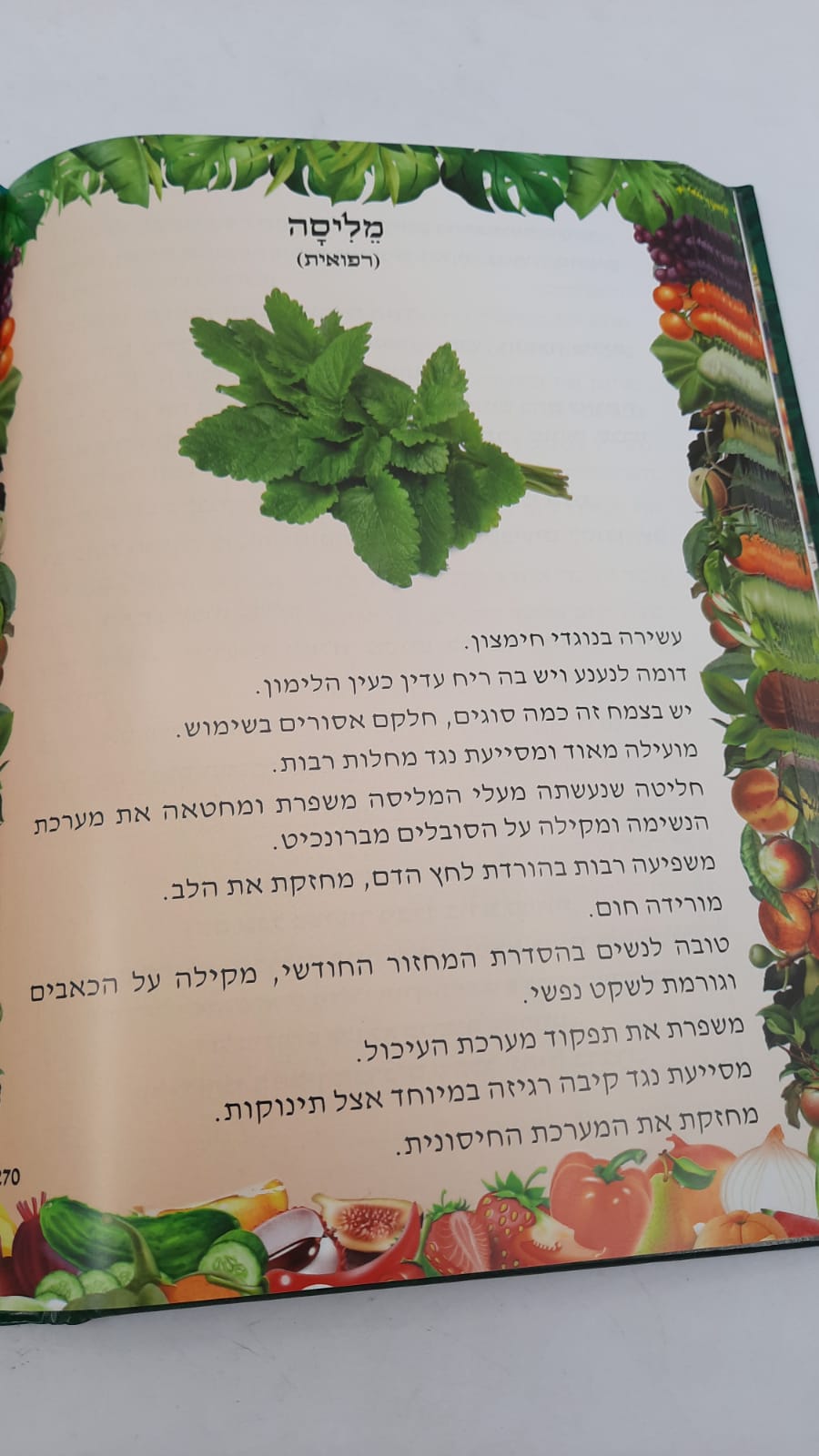 ��� ���� ����� / ������ ������ ���� �"� ����"�