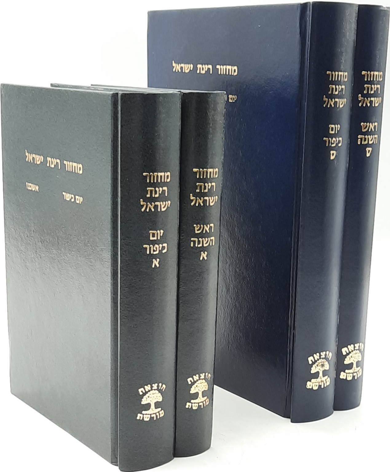 ������� ���� ����� �' ����� - ���� ���� / ����� / ����� ������