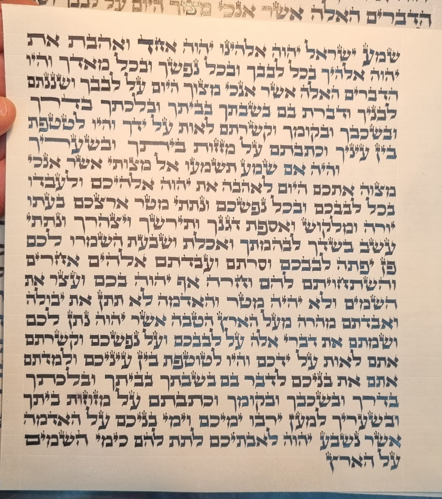 ����� ������ - ��� ����� - 15 �"� / ��� �����