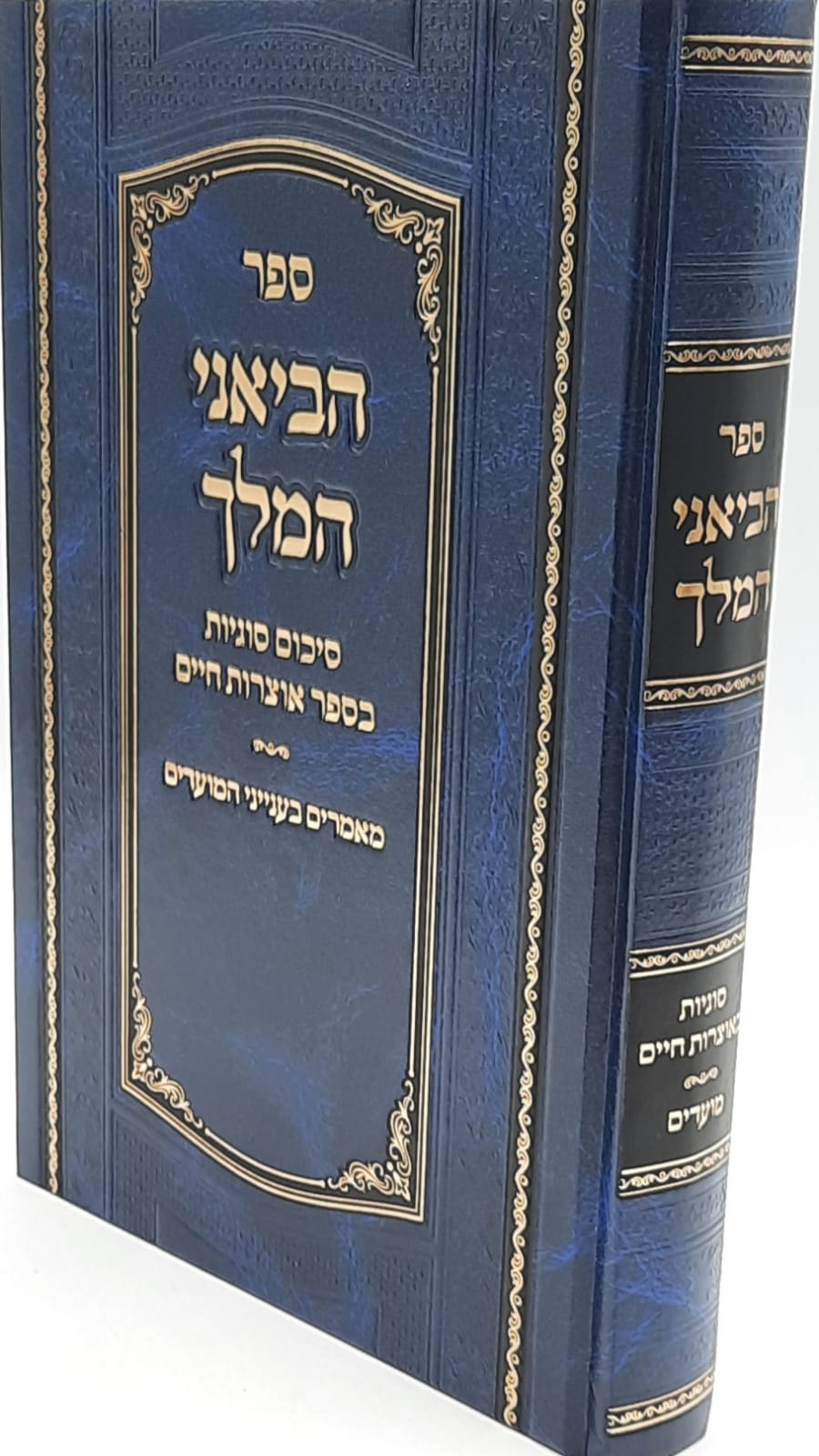 ������ ���� / ����� ������ ���� ������ ����