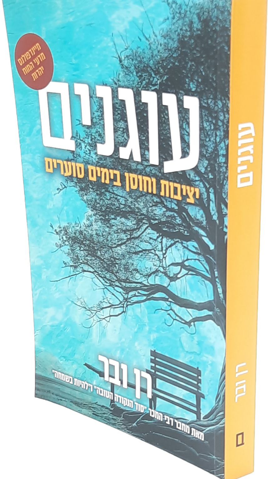 עוגנים - יציבות וחוסן בימים סוערים / רן ובר עוגנים - יציבות וחוסן בימים סוערים / רן ובר