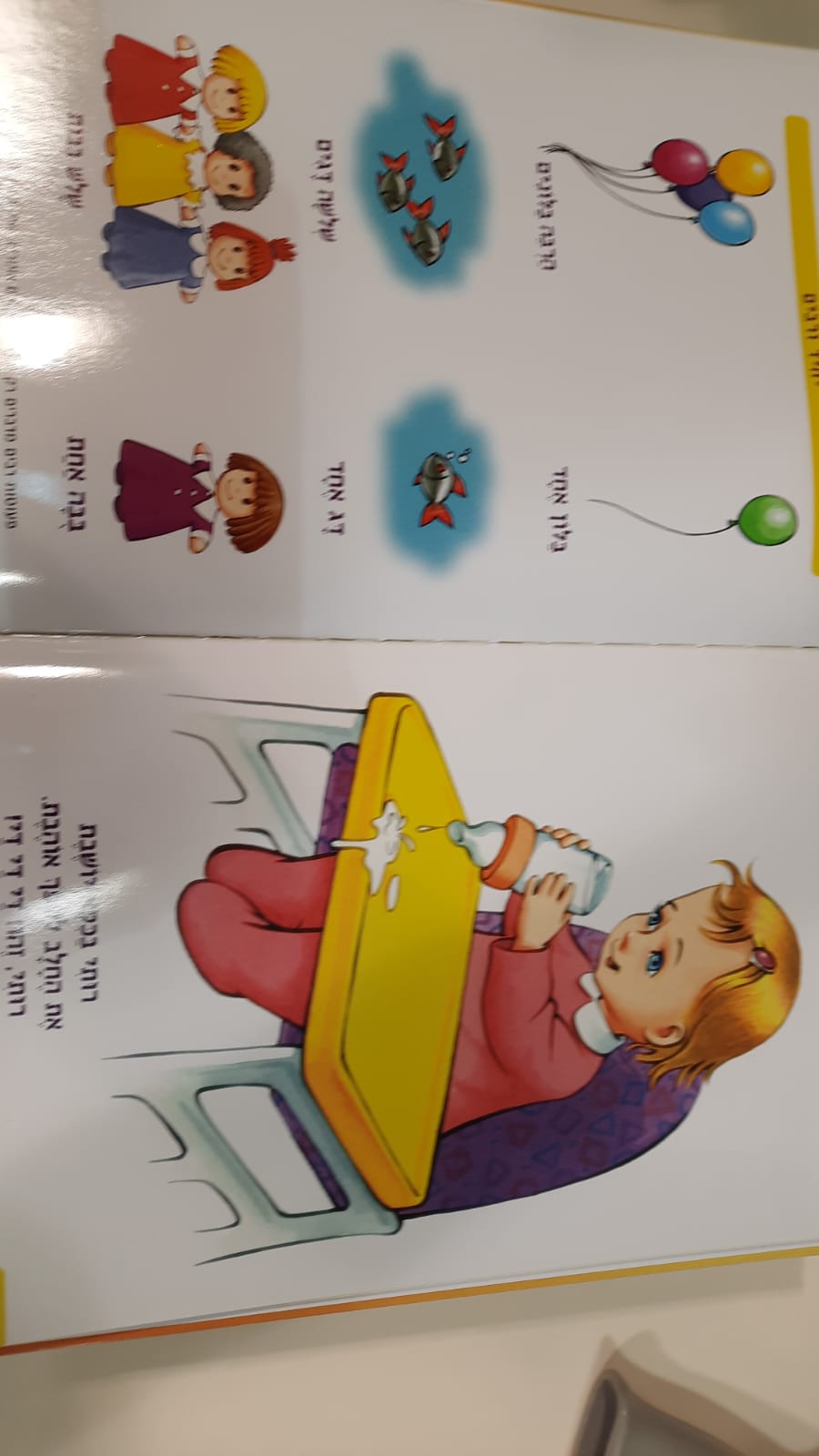 ���� ������ ��� - �������