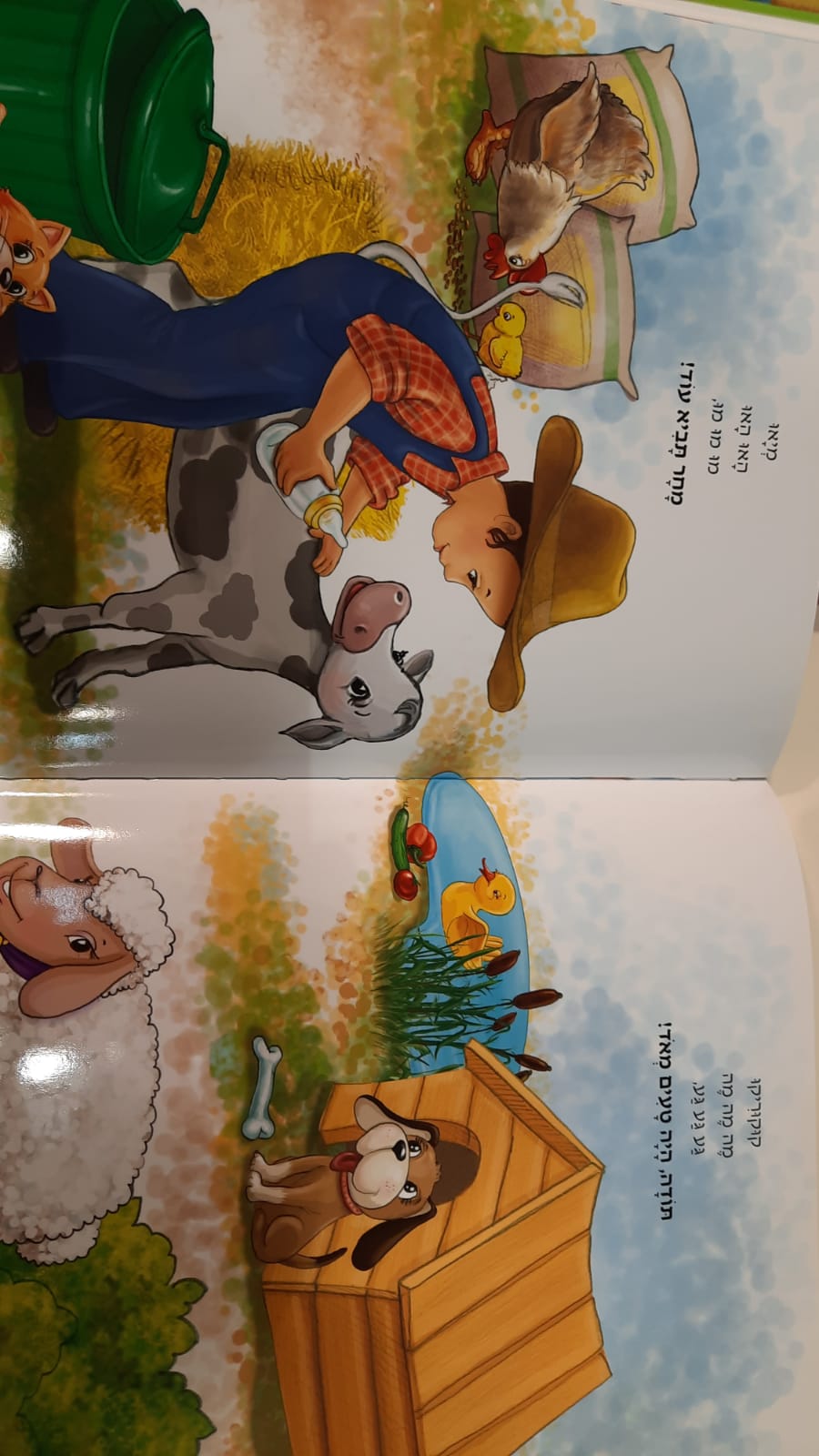 ��� ����� ��������