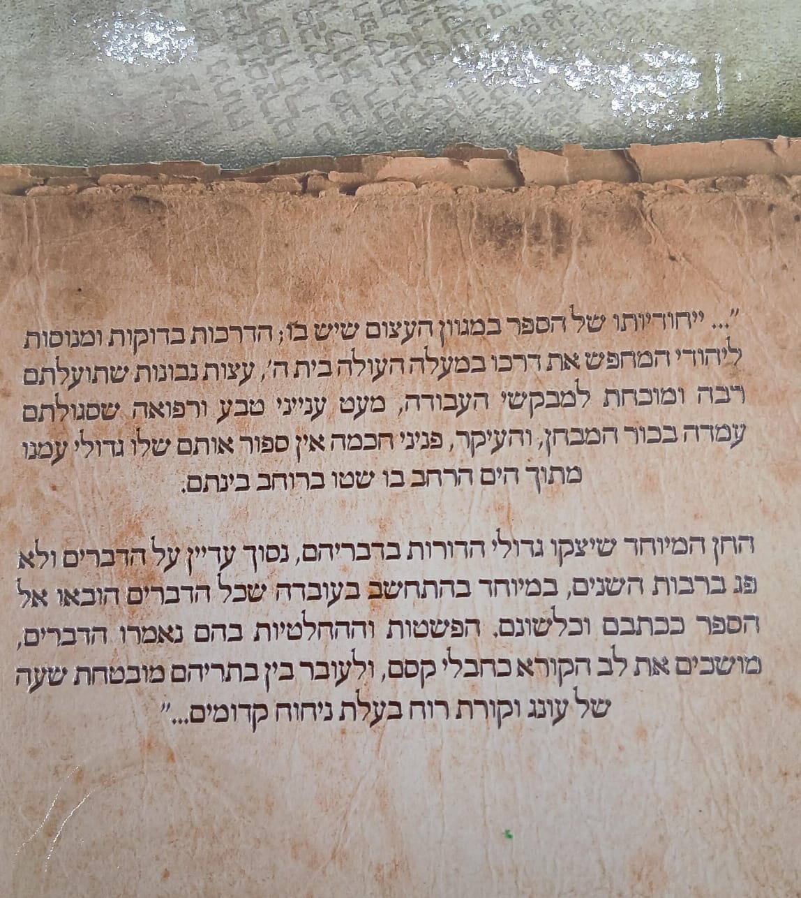 ���� ������ / ���� �������
