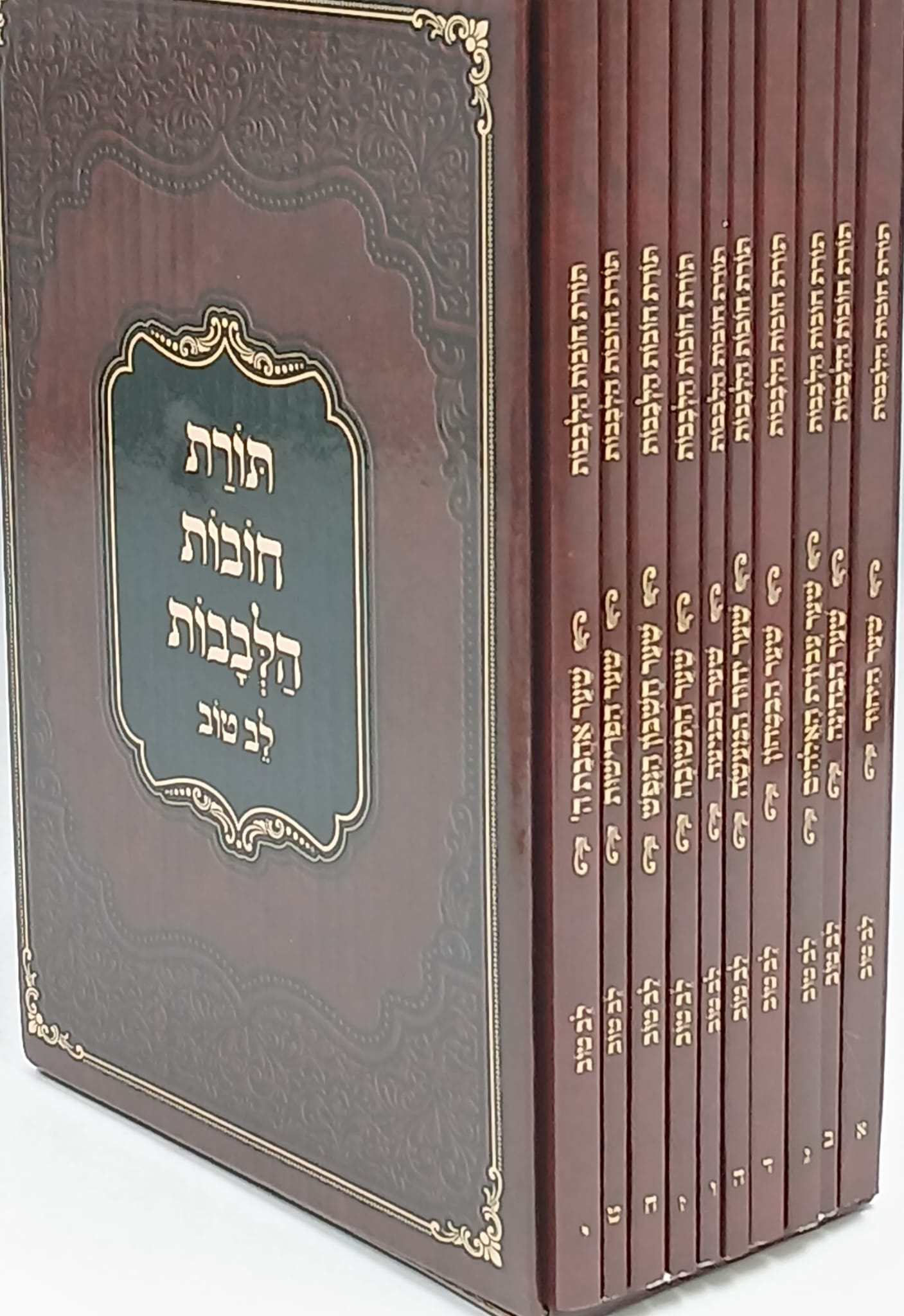 ���� ����� ������ �� ��� / ��� ����� ���