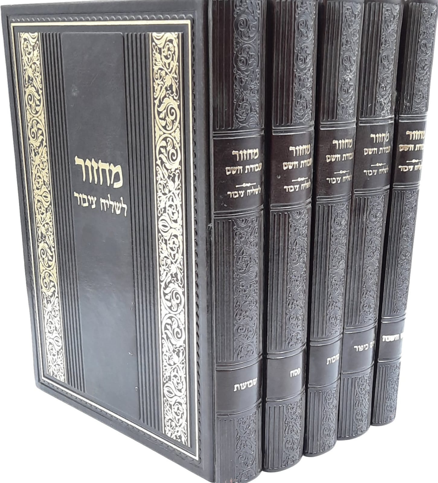 ������� ����� �' - 5 ����� ��� ����� ����� / ���� �����