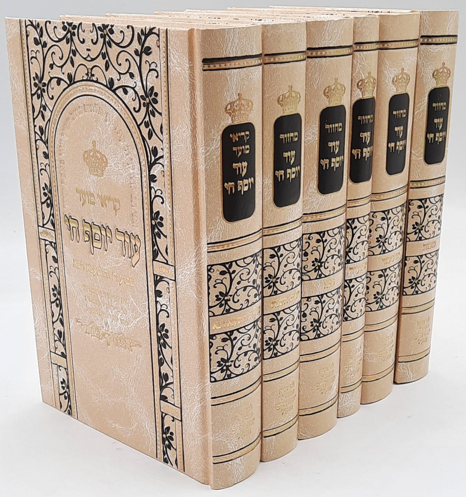 ��� ���� �� ����� ���� - �� ������� 6 ����� / ���� ����� ������ ��� �������