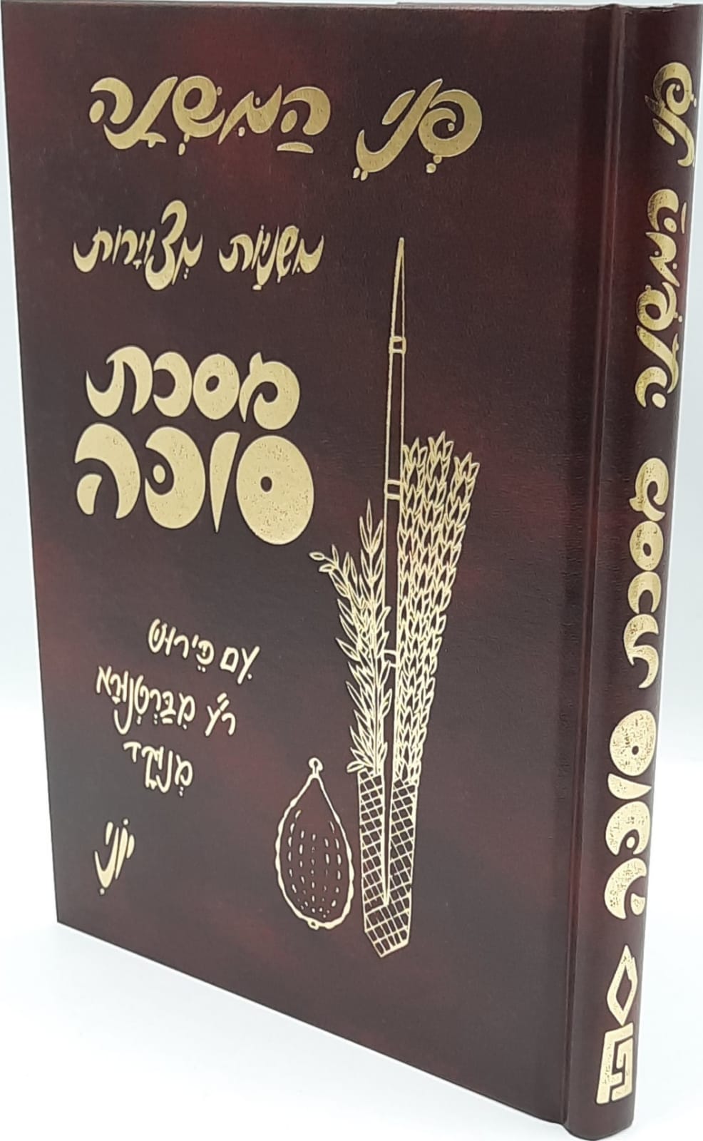 משניות סוכה - מצויירות / יוני גרשטיין משניות סוכה - מצויירות / יוני גרשטיין