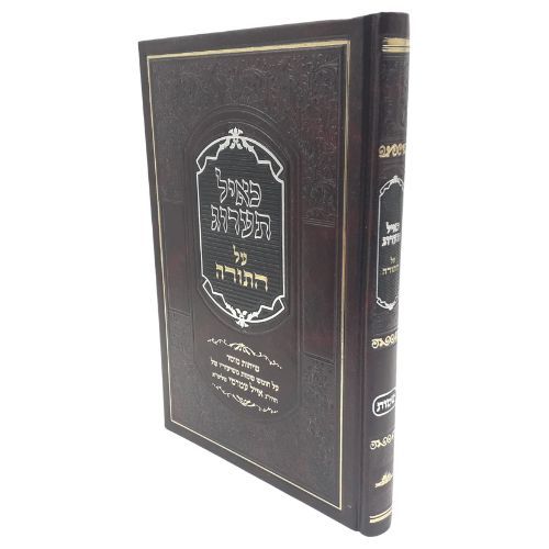 כאיל תערוג על התורה - שמות - הרב אייל עמרמי / הוצאת ספרי חיים כאיל תערוג על התורה - שמות - הרב אייל עמרמי / הוצאת ספרי חיים