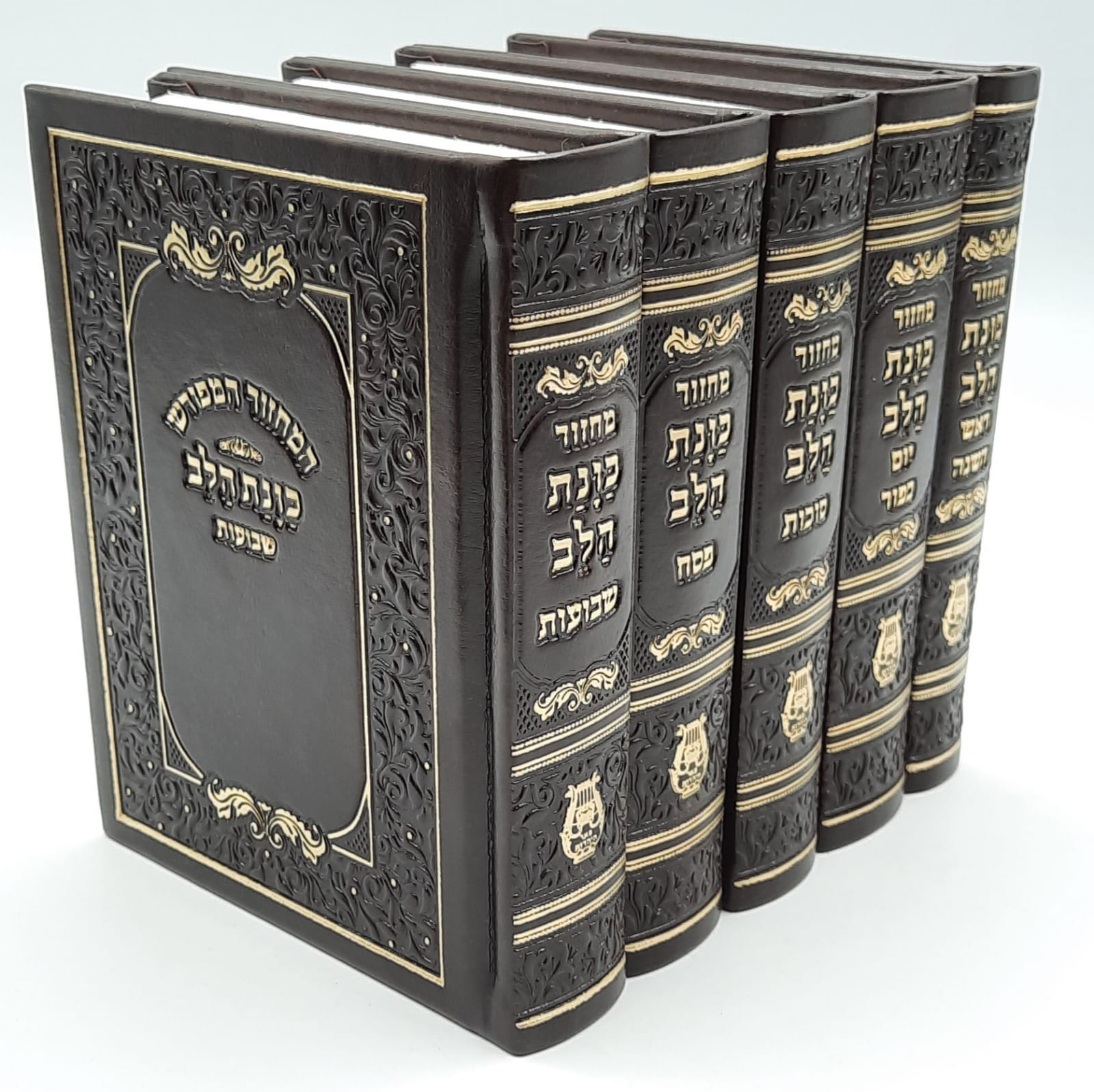 ������� - ����� ���