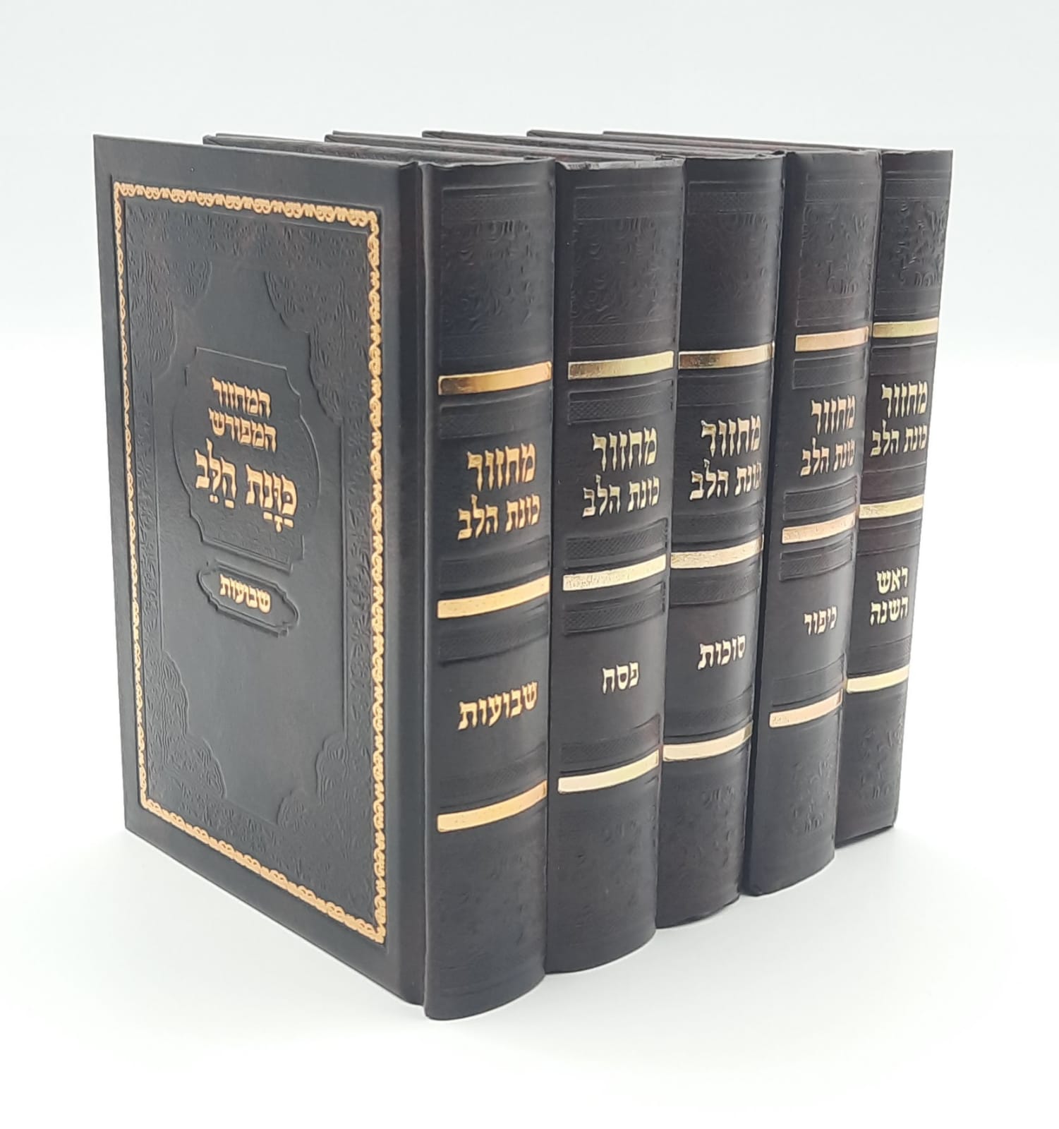 �� ����� ����� ��� �����