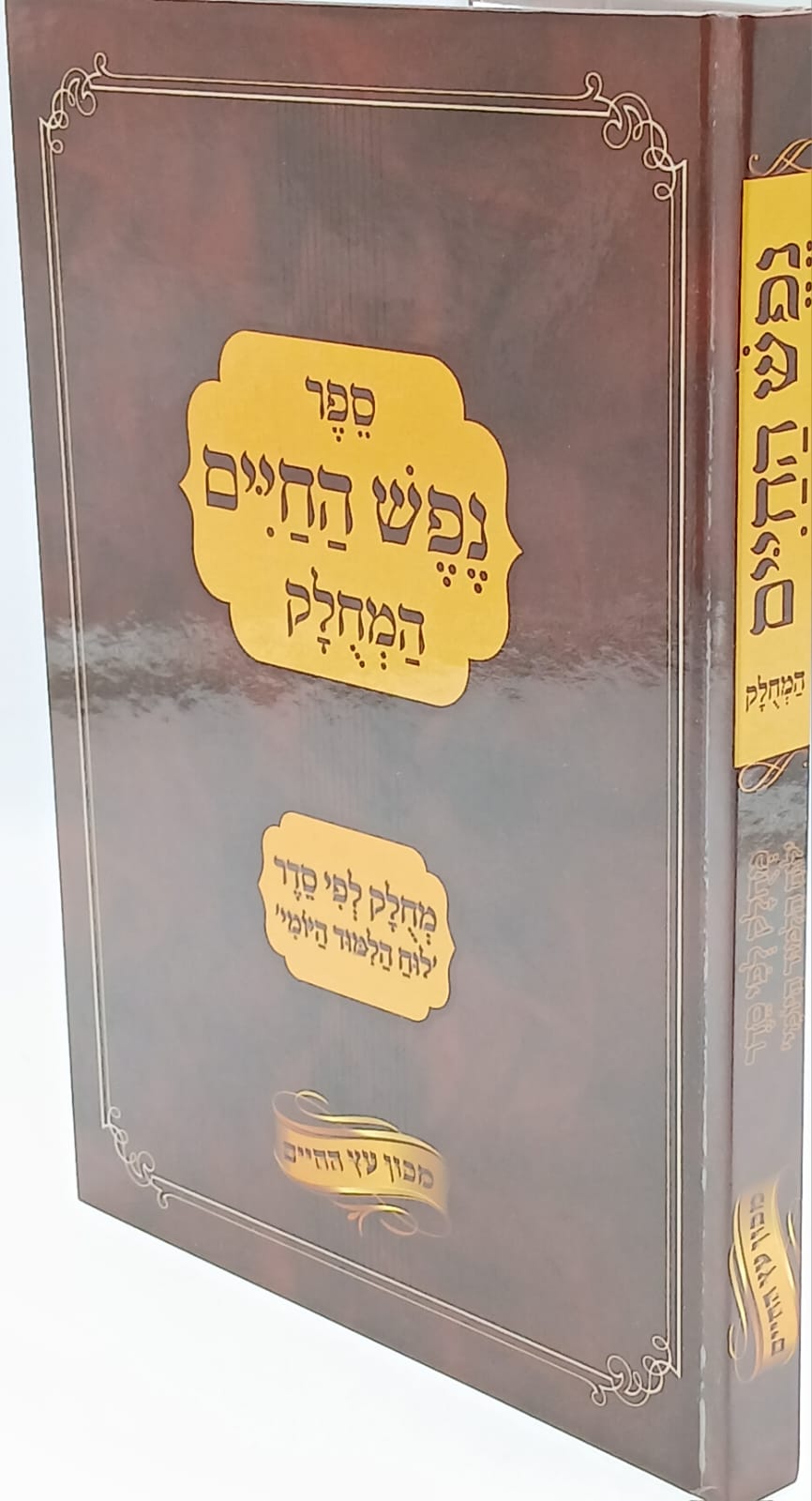 ��� ����� - �����