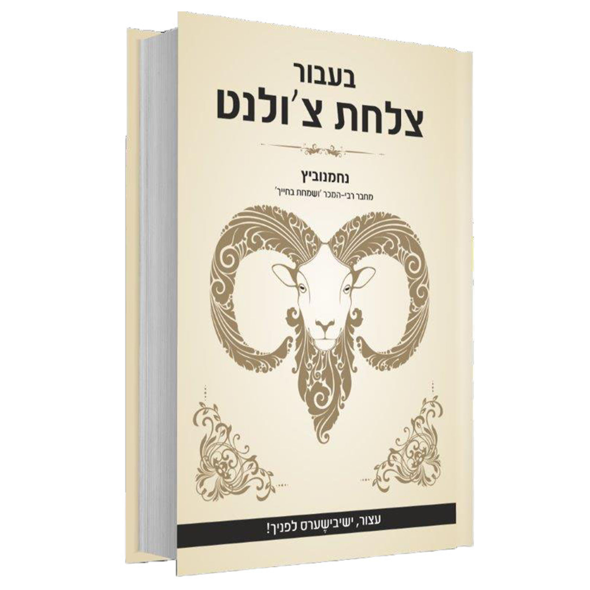 בעבור צלחת צ'ולנט- נחמנוביץ בעבור צלחת צ'ולנט- נחמנוביץ