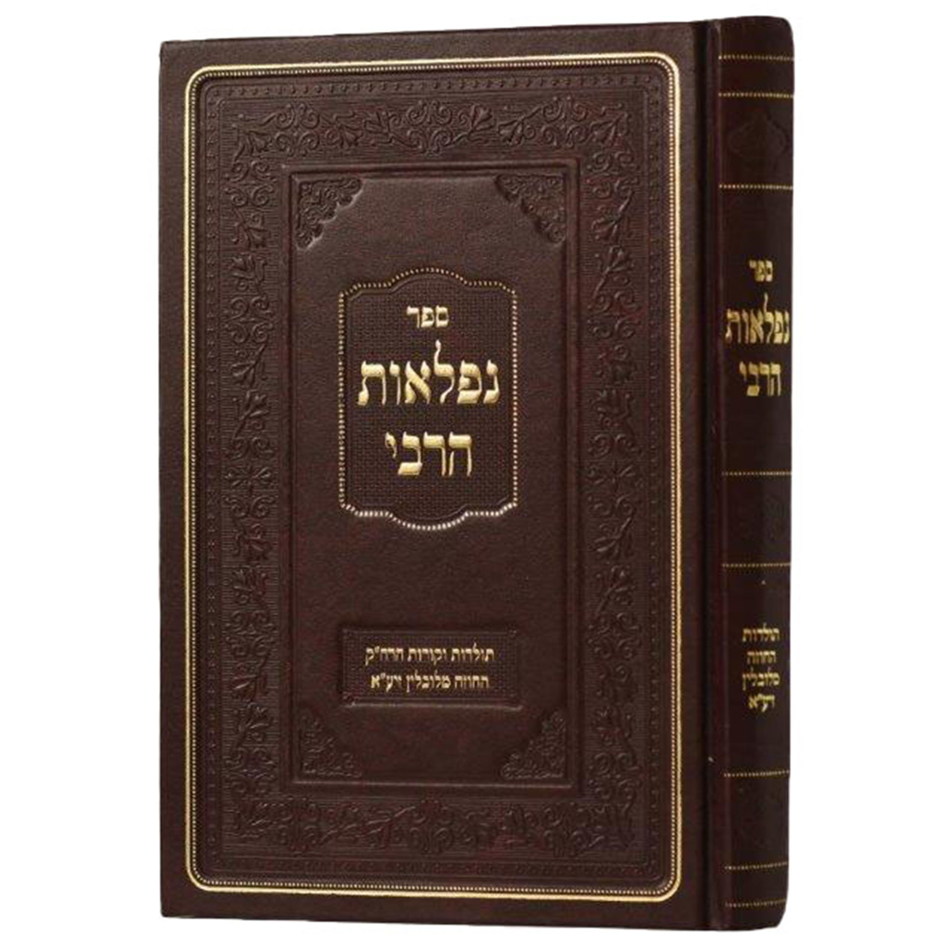 נפלאות הרבי - החוזה מלובלין נפלאות הרבי - החוזה מלובלין
