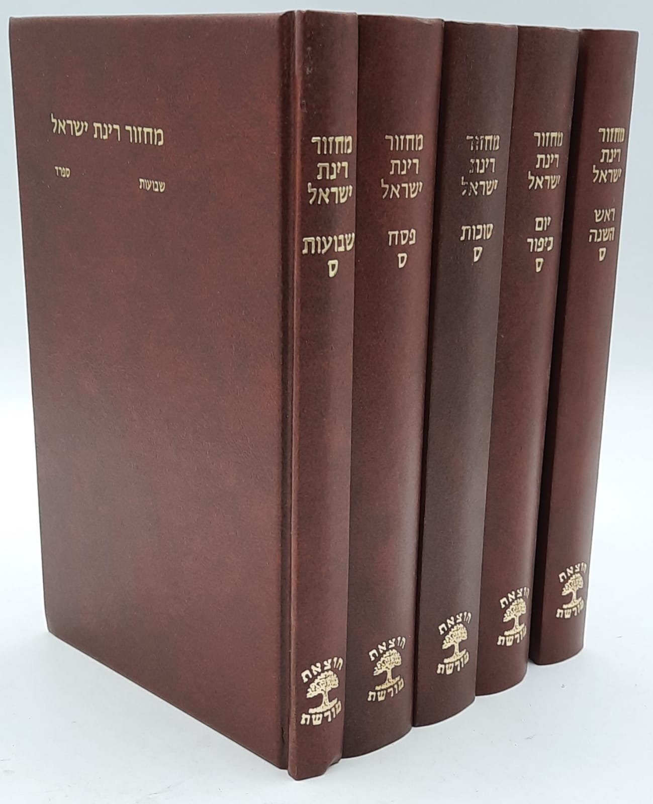 ����� ���� ����� ����  �' �����