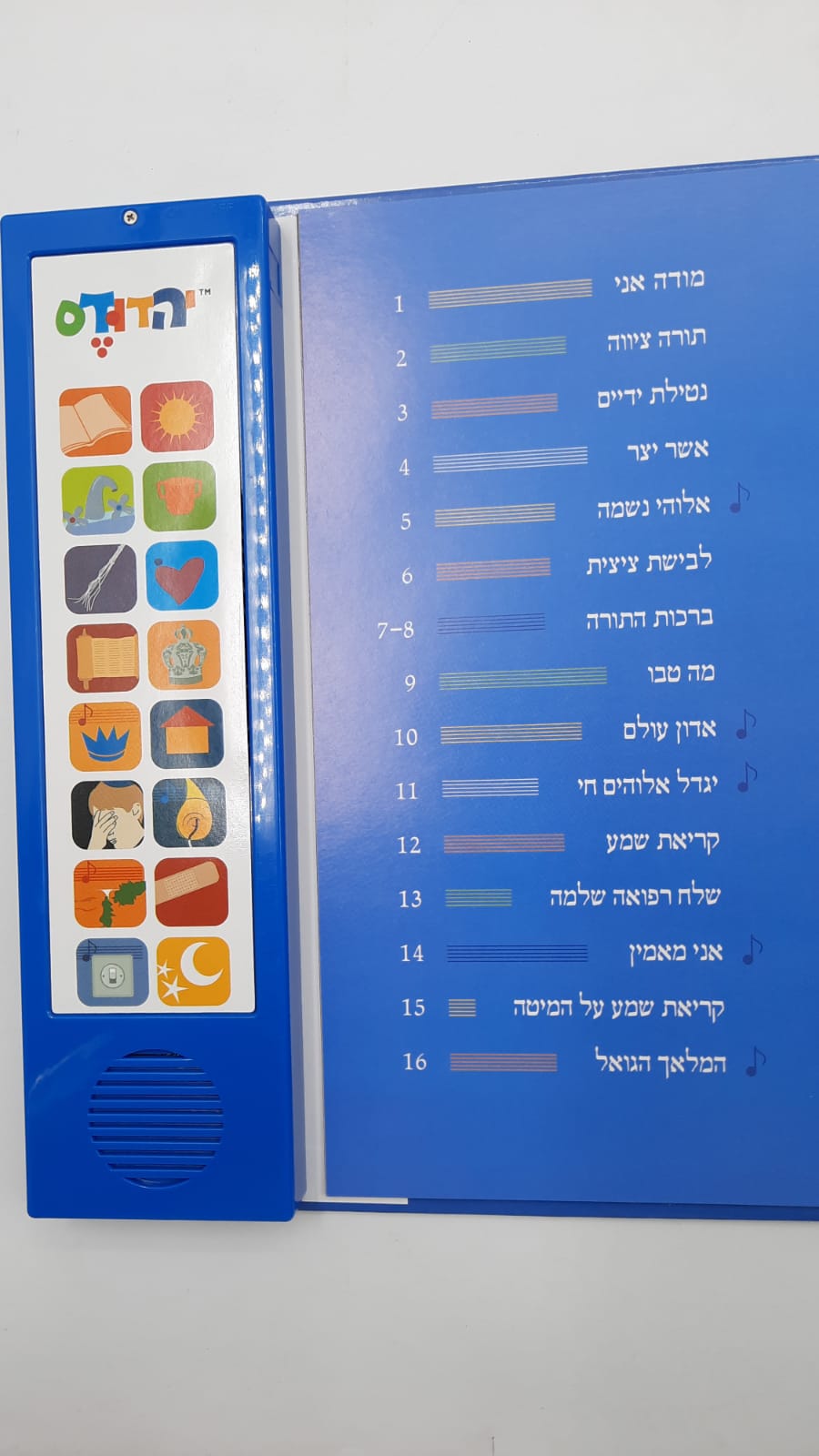 ����� ���� - ��� ����� - ���� ���� (���� �����)