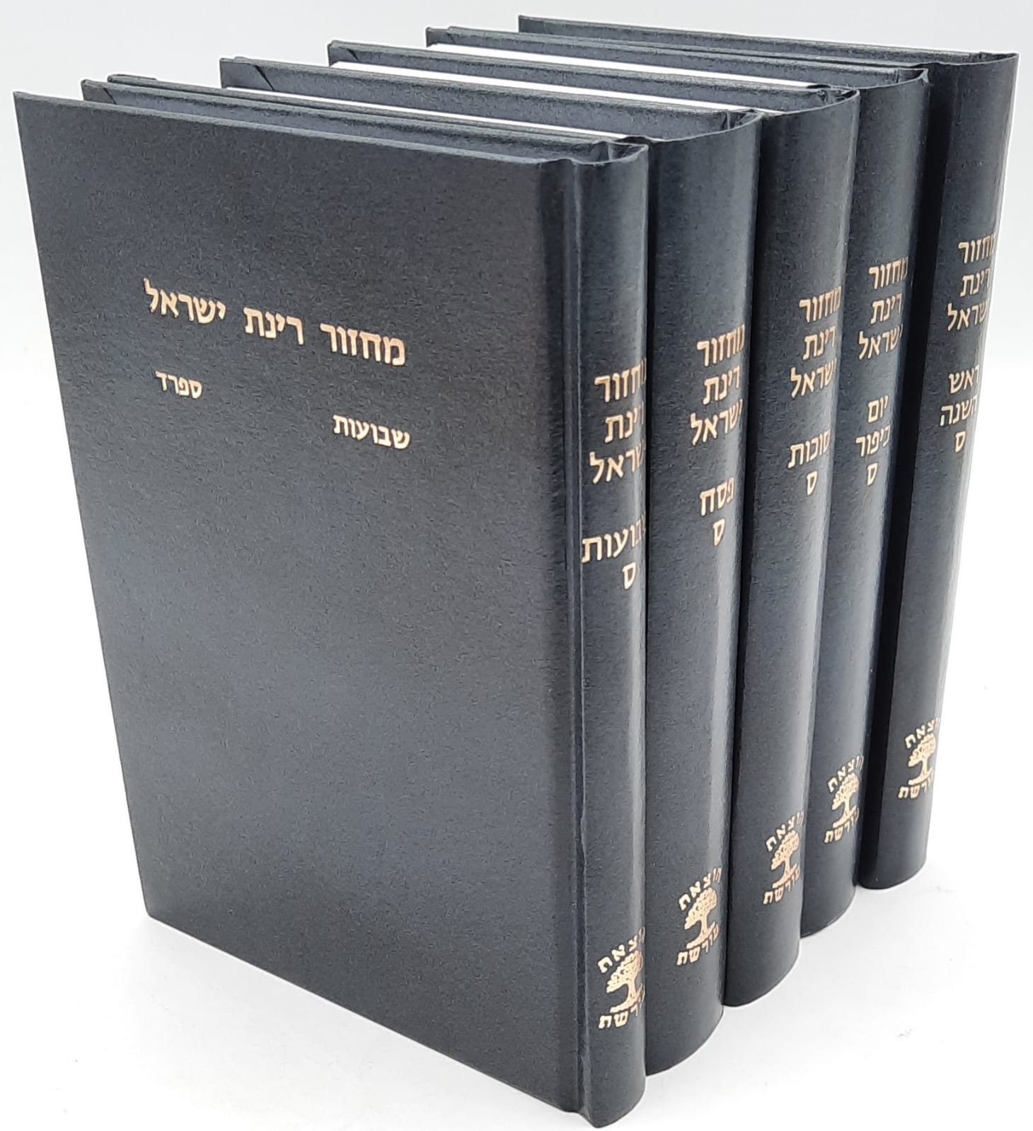 ����� ���� ����� ���� ������ | �' ����� | ����� ���