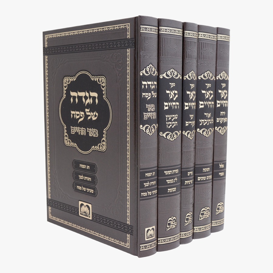 סט באר החיים מועדים הרב בידרמן (5 כרכים) - עוז והדר סט באר החיים מועדים הרב בידרמן (5 כרכים) - עוז והדר