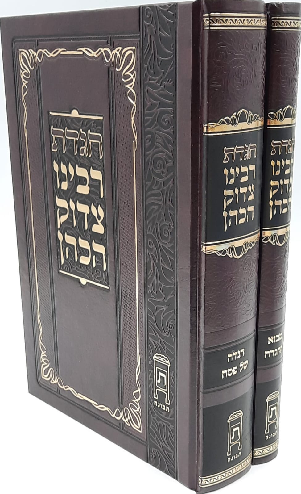 ���� �� ��� - ����� ���� ���� �������