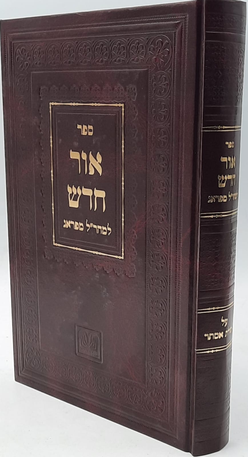 המהר"ל אור חדש - עוז והדר המהר"ל אור חדש - עוז והדר