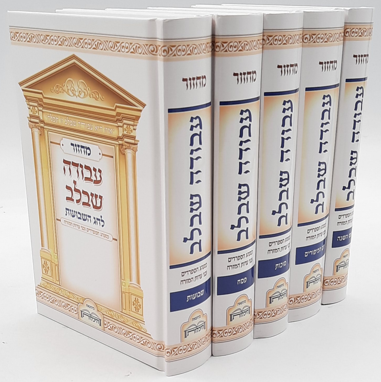 �� ������� ����� ���� / ���� �����